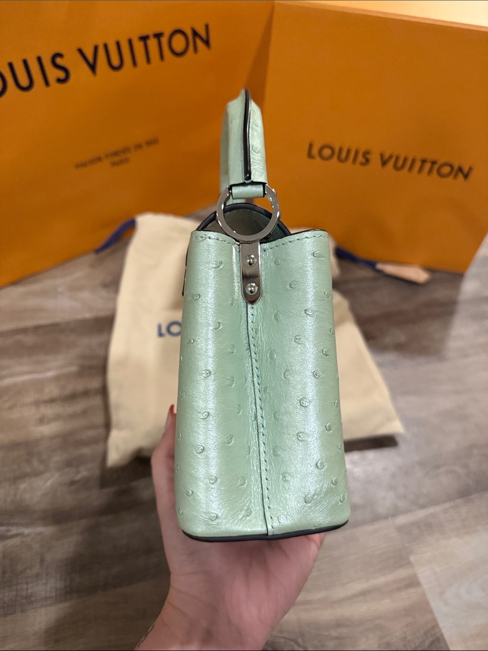 Louis Vuitton Capucines Mini Bag Exotic Ostrich in Mint Green - Picture 6 of 15
